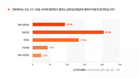 기업총수 평양회담 동행에 48% '긍정적' 기사 이미지